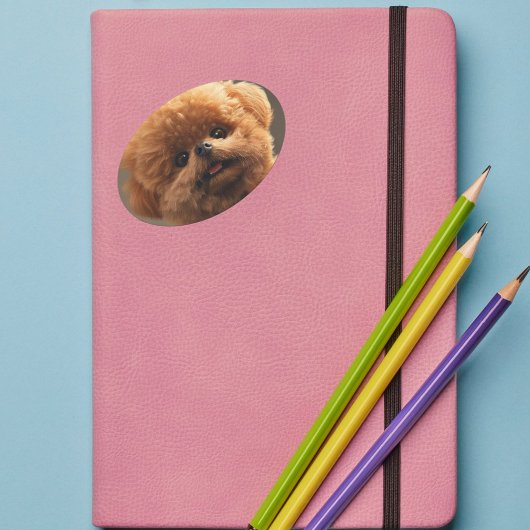 Little Joys, Big Heart Planer