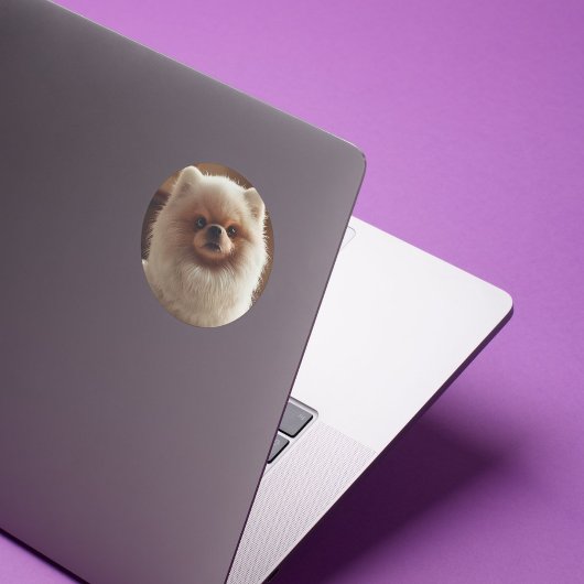 Little Joys, Big Heart Planer