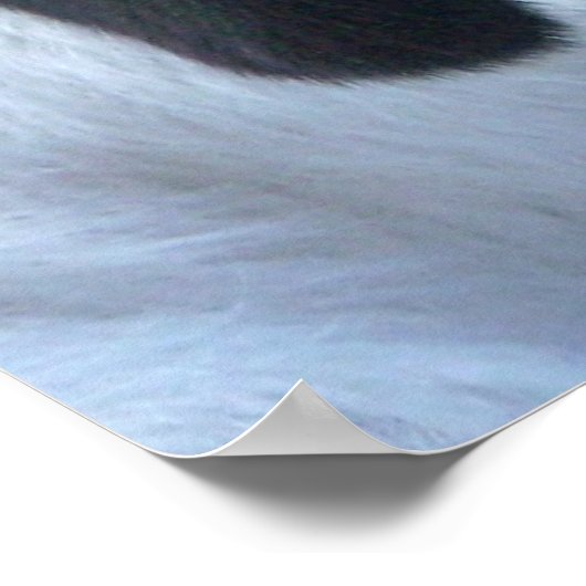 Little Kid Face Poster (Ecke)