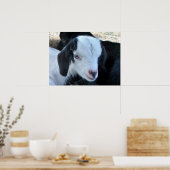 Little Kid Face Poster (Küche)