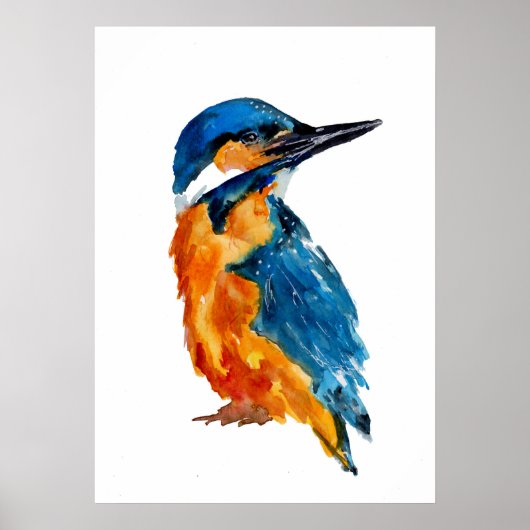 Little Kingfisher Bird Poster (Vorne)