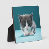 Little Kitten Fotoplatte (Vorderseite)