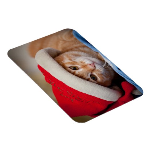 Little Kitten in Red Christmas Hat Magnet (Rechte Seite)