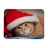 Little Kitten in Red Christmas Hat Magnet (Horizontal)