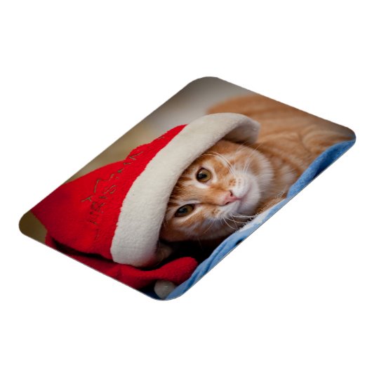 Little Kitten in Red Christmas Hat Magnet (Linke Seite)