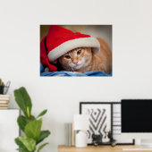 Little Kitten in Red Christmas Hat Poster (Heimbüro)