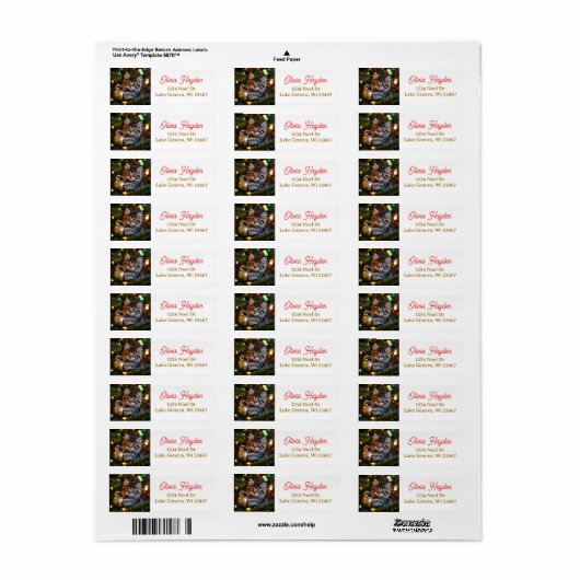 Little Kitten on Christmas Tree (Vorne)