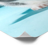 Little Kitten Poster (Ecke)