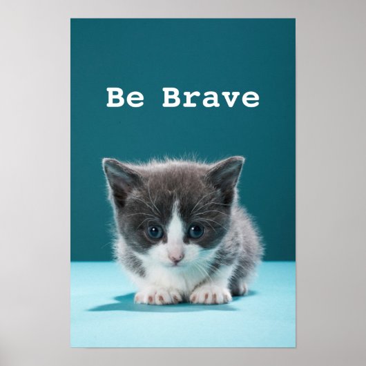 Little Kitten Poster (Vorne)