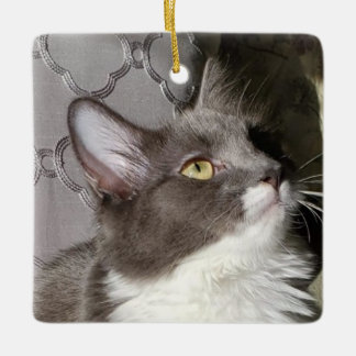Little Kitty Keramikornament