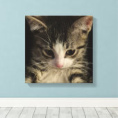 Little kitty leinwanddruck (Insitu (Holzboden))