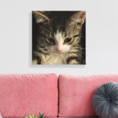Little kitty leinwanddruck (Insitu (Wohnzimmer))