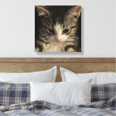 Little kitty leinwanddruck (Insitu (Schlafzimmer))