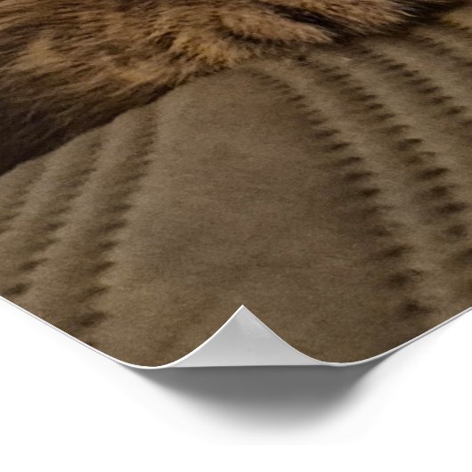 Little kitty poster (Ecke)