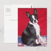 Little Lady Lola bug Postkarte (Vorne/Hinten)