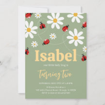 Little Ladybug Birthday