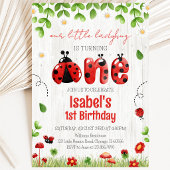 Little Ladybug Birthday Einladung