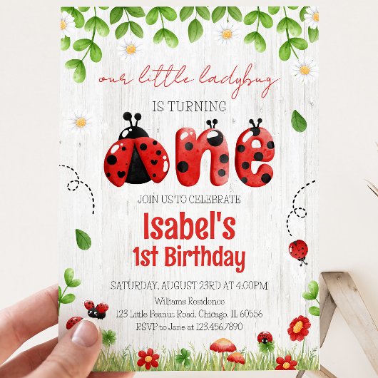 Little Ladybug Birthday Einladung