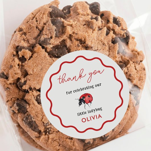 Little Ladybug Geburtstagsparty Danke Runder Aufkleber