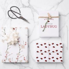 Little Ladybug Pattern Boho Geschenkpapier Set