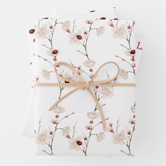 Little Ladybug Pattern Boho Geschenkpapier Set (Beispiel)