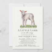 Little Lamb Baby Dusche by Mail Einladung (Vorderseite)