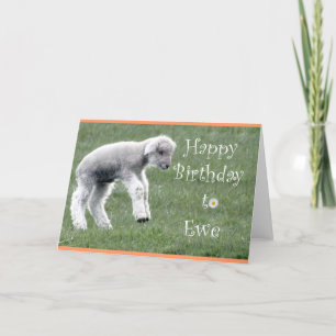 Little Lamb Birthday Card Karte
