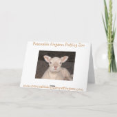 Little Lamb Birthday Card Karte (Rückseite)