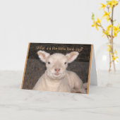 Little Lamb Birthday Card Karte (Gelbe Blume)