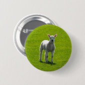 Little Lamb Button (Vorne & Hinten)