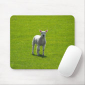 Little Lamb Mousepad (Mit Mouse)