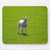 Little Lamb Mousepad (Vorne)