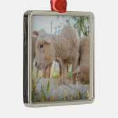 Little Lamb Ornament Aus Metall (Rechts)