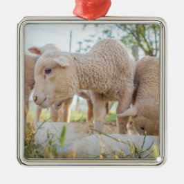 Little Lamb Ornament Aus Metall