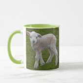 Little Lamb-Tasse Tasse (Links)