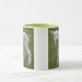 Little Lamb-Tasse Tasse (Zentrum)
