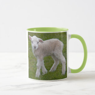 Little Lamb-Tasse Tasse