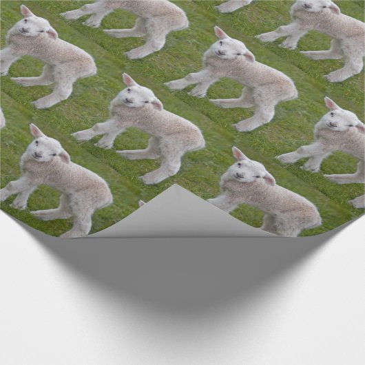 Little Lamb Wrapping Paper Geschenkpapier (Ecke)