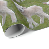 Little Lamb Wrapping Paper Geschenkpapier (Rolleneckpunkt)