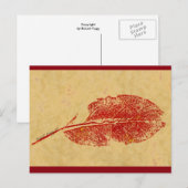 "Little Leaf" Landstraßen Postkarte (Vorne/Hinten)