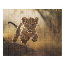 Little Leaping Lion Cub Acrylic
