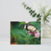 Little Leopard Wings Postcard Postkarte (Stehend Vorderseite)