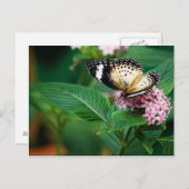 Little Leopard Wings Postcard Postkarte (Vorne/Hinten)