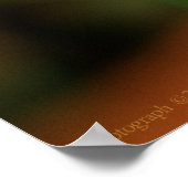 Little Leopard Wings Print Poster (Ecke)