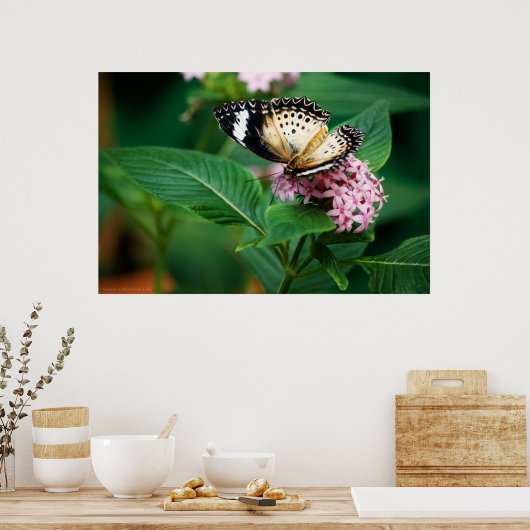 Little Leopard Wings Print Poster (Küche)