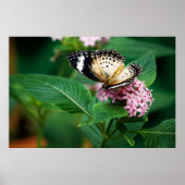 Little Leopard Wings Print Poster (Vorne)