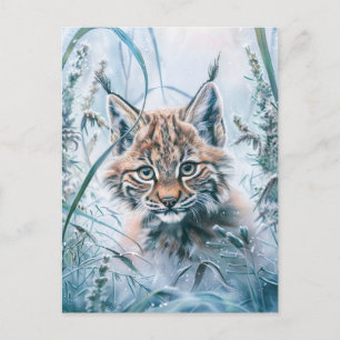 Little Lynx Bobcat in Snowy Forest Postkarte