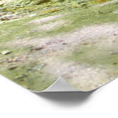 Little Lyons Falls, Mohican Staat Park, Ohio Poster (Ecke)