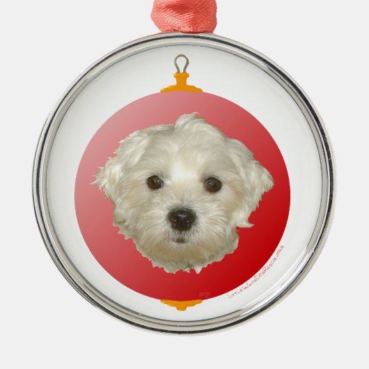 Little Maltese Weihnachtsschmuck (Vorne)