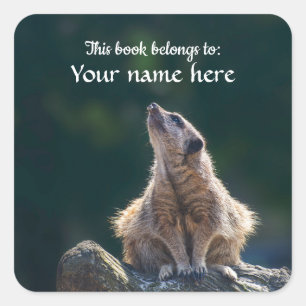 Little Meerkat "This book gehört to" Aufkleber